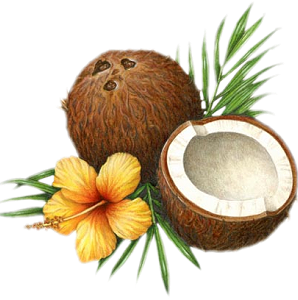 Read more about the article Coconut Oil – A Great Natural Product For Health