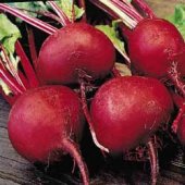 Read more about the article Red Beets, A Healing Food Known For Millennia But Ignored In Our Days