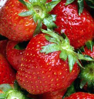 You are currently viewing Strawberries – A Gift of Nature