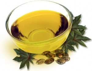Read more about the article Castor Oil Plant – Therapeutic Indications