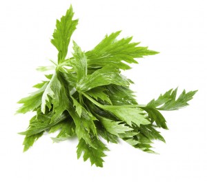 Celery Leaves And Health - Herbal Remedies With Celery 