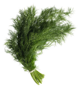 Read more about the article Dill and Health – Herbal Remedies