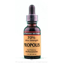 You are currently viewing Propolis – Diseases And Conditions That Can Be Treated With Propolis