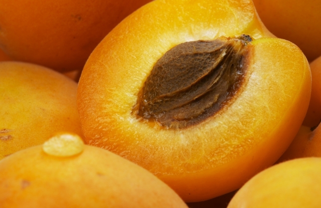 You are currently viewing Apricots – A Miraculous Fruit For Our Health