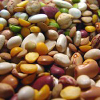 Read more about the article Dry Beans, A Great Food Full of Nutrients
