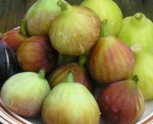 Read more about the article Figs, Delicious and Good for Health