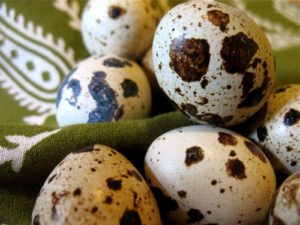 Read more about the article Quail Egg, A Wonder Drug – Cures and Health Benefits