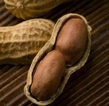 Read more about the article Peanuts and Their Nutritional Properties – Medicinal Indications