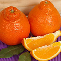 Read more about the article Tangerines – Good For Our Immune System