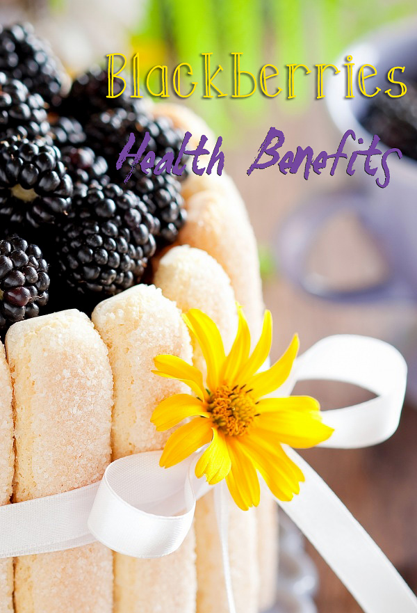 Blackberry Nutrition Facts And Benefits BrightHealing