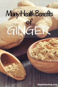 Read more about the article Getting to Know the Many Health Benefits of Ginger