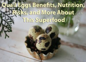 Read more about the article Quail Eggs Benefits, Nutrition, Risks, and More About This Superfood