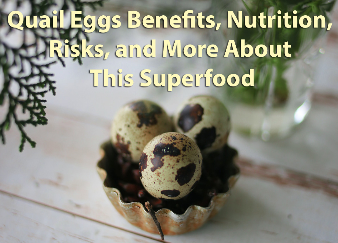 Quail Eggs Benefits, Nutrition, Risks, and More About This Superfood