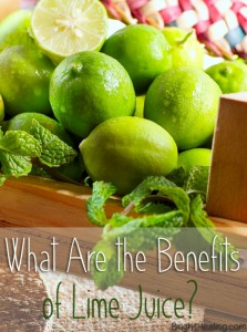 Read more about the article The Benefits of Lime Juice