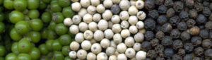 Read more about the article Black Pepper Properties and Medicinal Uses