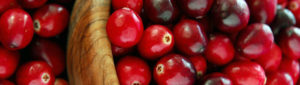 Read more about the article Cranberries – Diseases Preventable by Cranberry