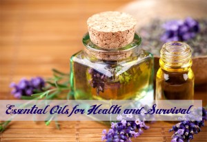 Read more about the article A Big List of Essential Oils for Health and Survival