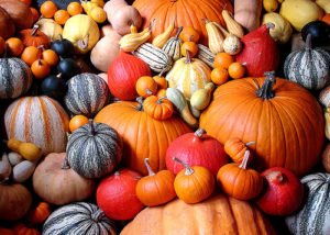 Read more about the article Pumpkin and Its Health Benefits