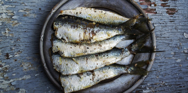 sardines rich in magnesium